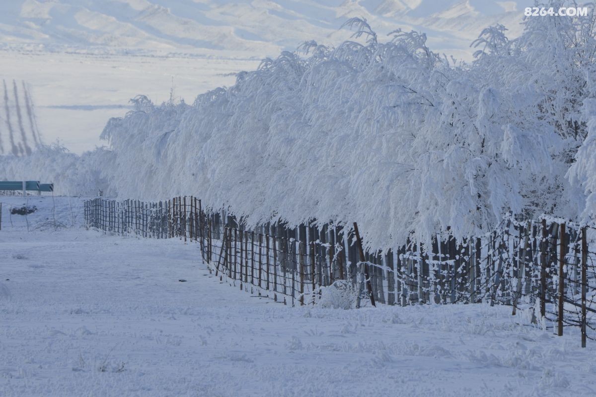 ѩ����������ѩ (1).JPG