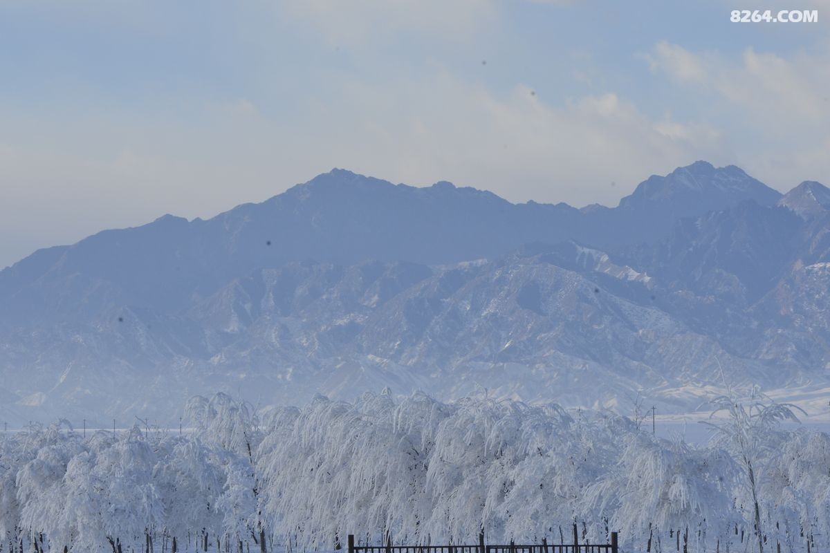 ѩ����������ѩ (5).JPG