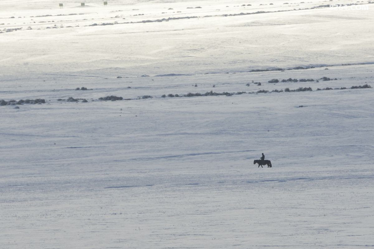 ѩ����������ѩ (6).JPG