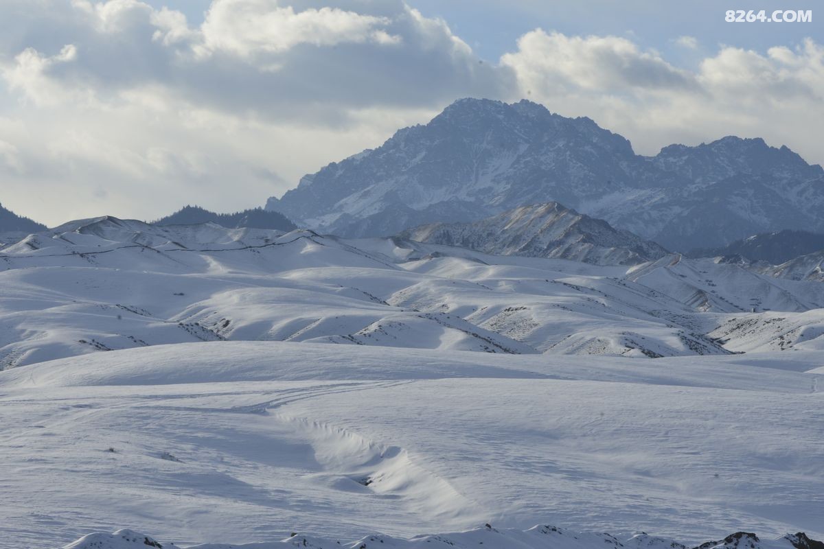 ѩ����������ѩ (15).JPG