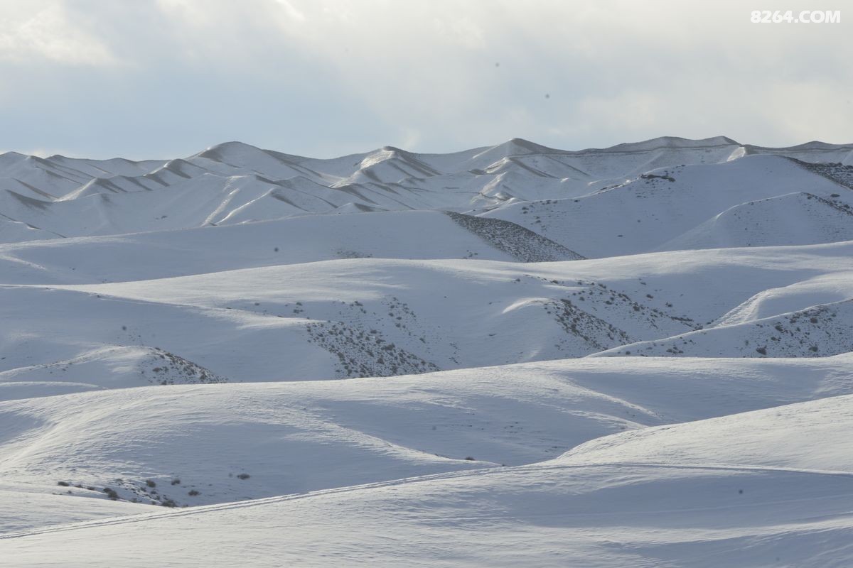 ѩ����������ѩ (16).JPG