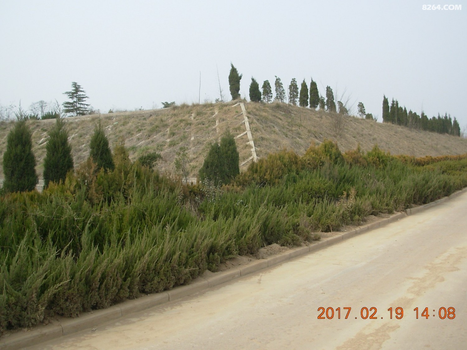 DSCN1128.JPG