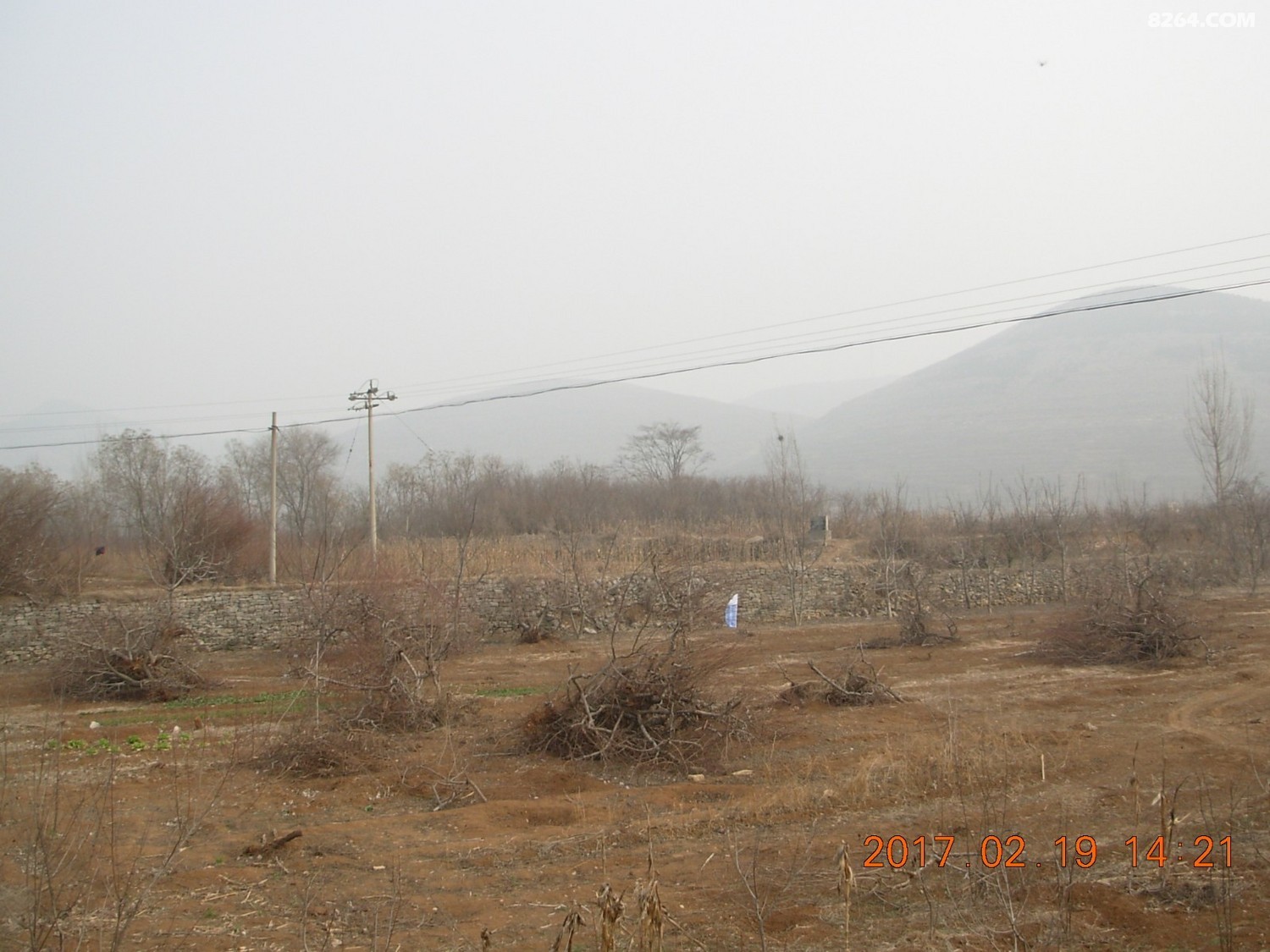 DSCN1130.JPG