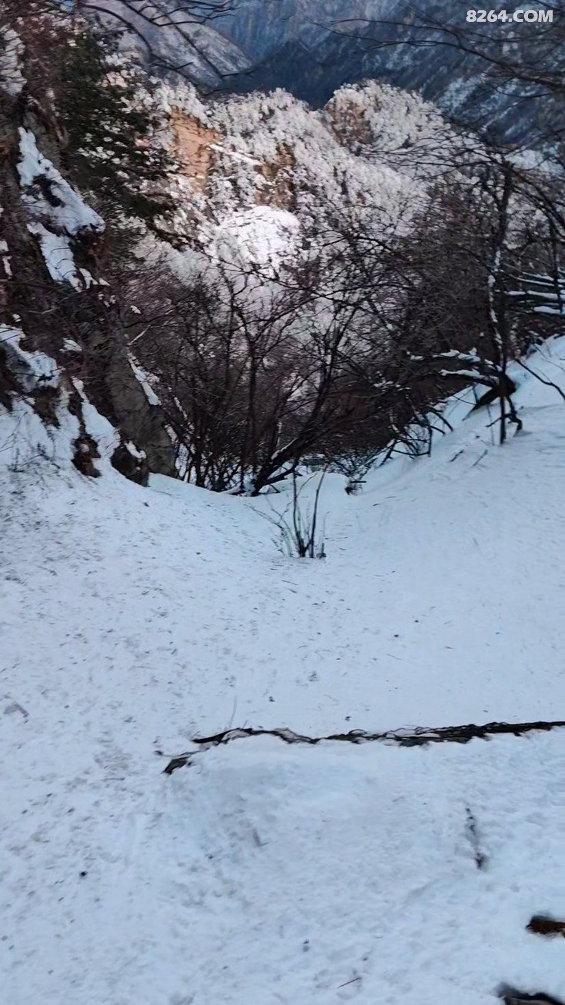 0347196qmjgo181gsxxd7w - 徒步登山 穿越攀岩 雪山步道 户外路线 在野 去没有天花板的地方