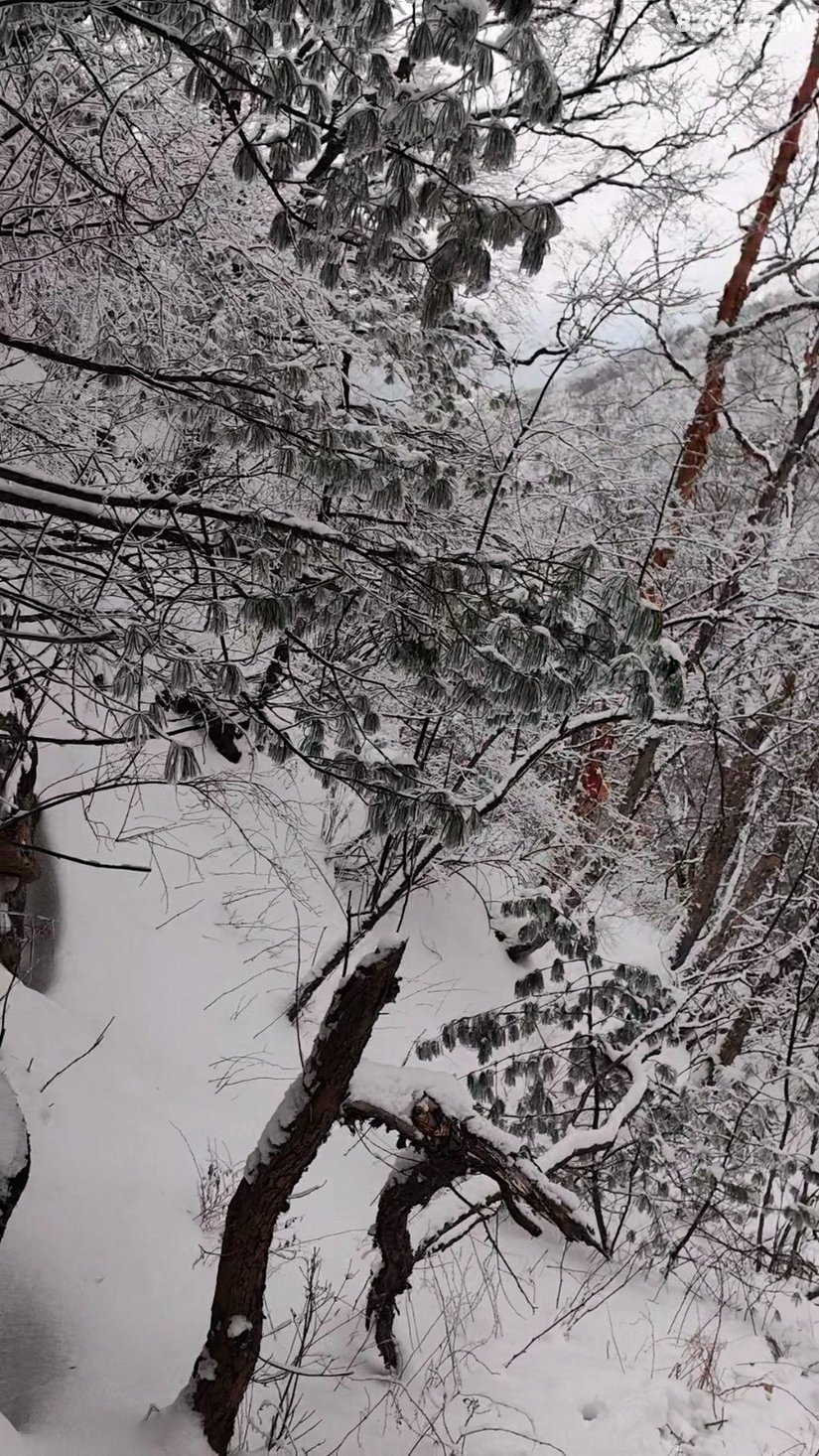 0347477ho66lmkzh3ujt2a - 徒步登山 穿越攀岩 雪山步道 户外路线 在野 去没有天花板的地方