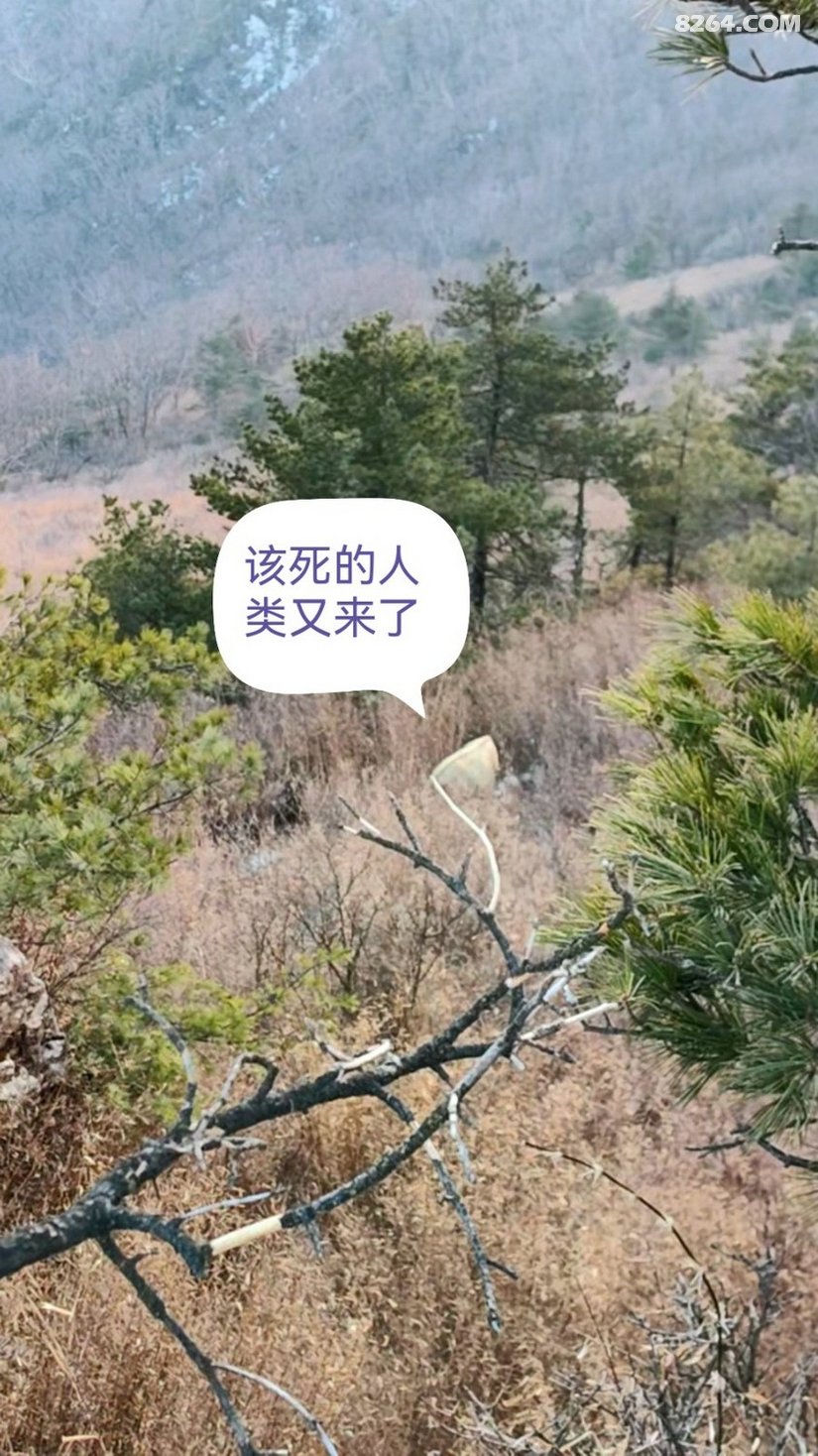 041332ta1b08i3nkqxjzyx - 徒步登山 穿越攀岩 雪山步道 户外路线 在野 去没有天花板的地方