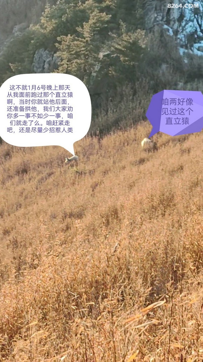 041334jmfrkupn1cqpc9dp - 徒步登山 穿越攀岩 雪山步道 户外路线 在野 去没有天花板的地方