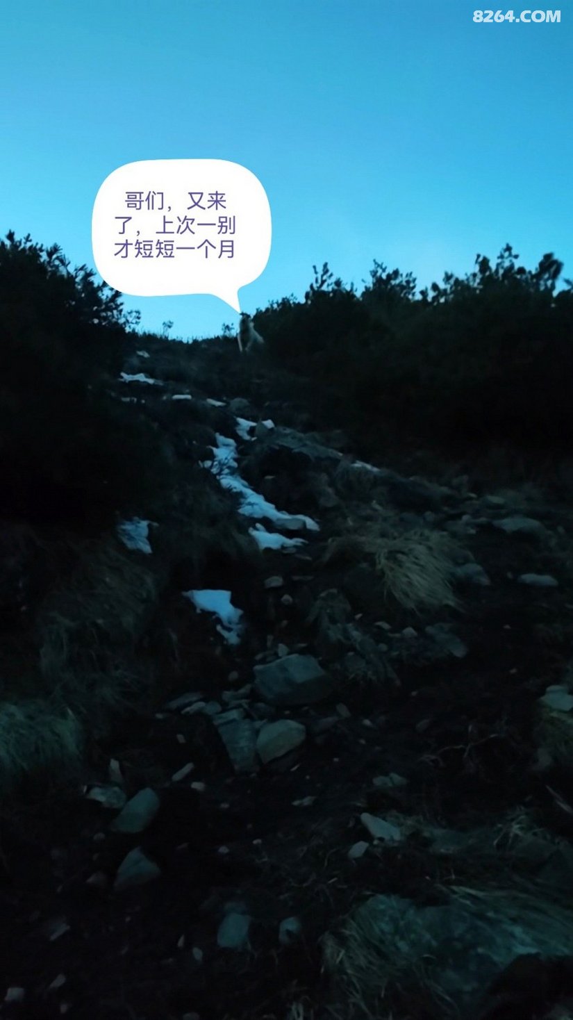 041335abi1jw8bitt8ifj8 - 徒步登山 穿越攀岩 雪山步道 户外路线 在野 去没有天花板的地方