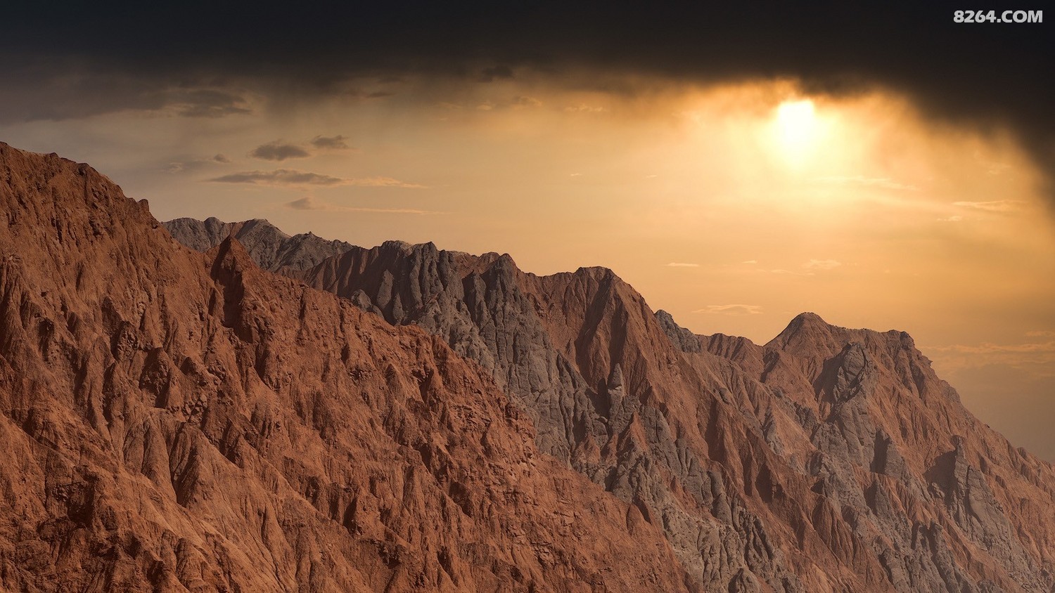 0L4A8988-༭ 16.9.jpg