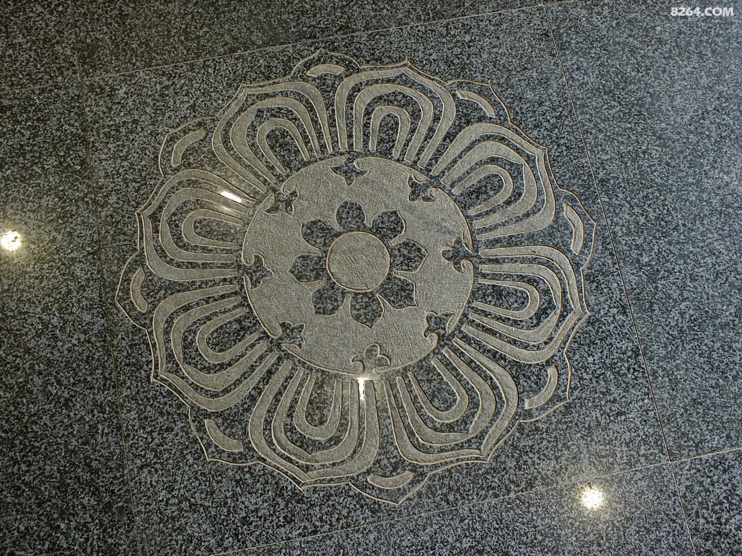 DSCF3050.JPG