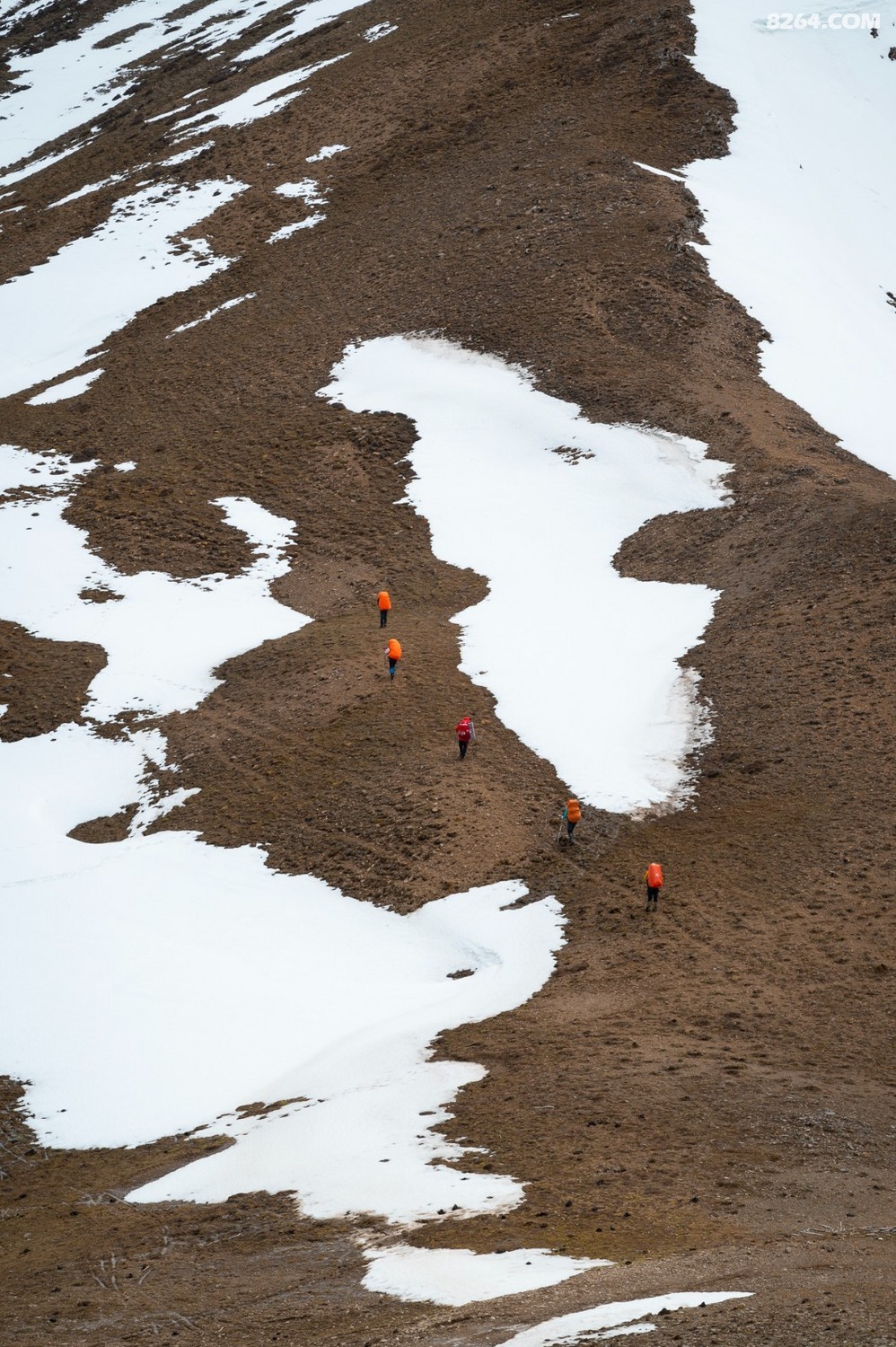 һɽ_2_ _20240524_1280_135.jpg