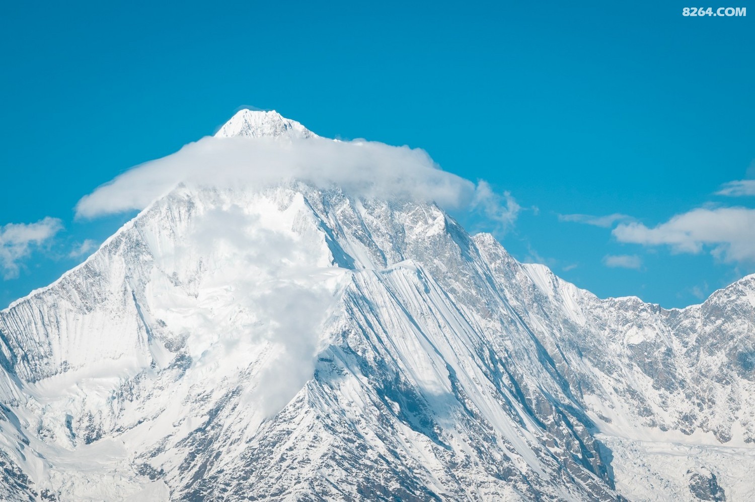 һɽ_3_ _20240524_1280_138.jpg