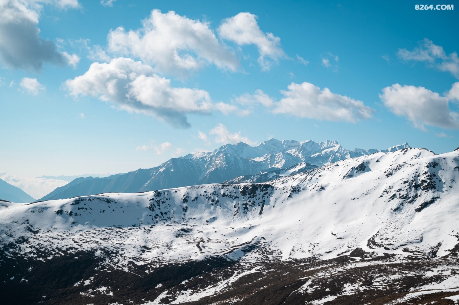 һɽ_3_ _20240525_1280_147.jpg