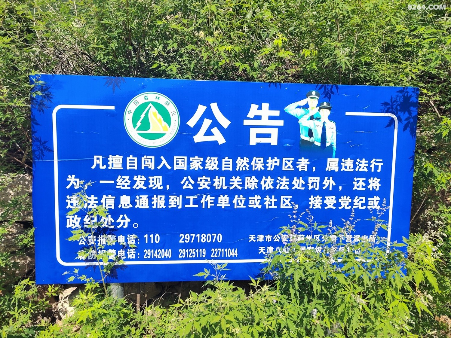 IMG_20240609_084147.jpg