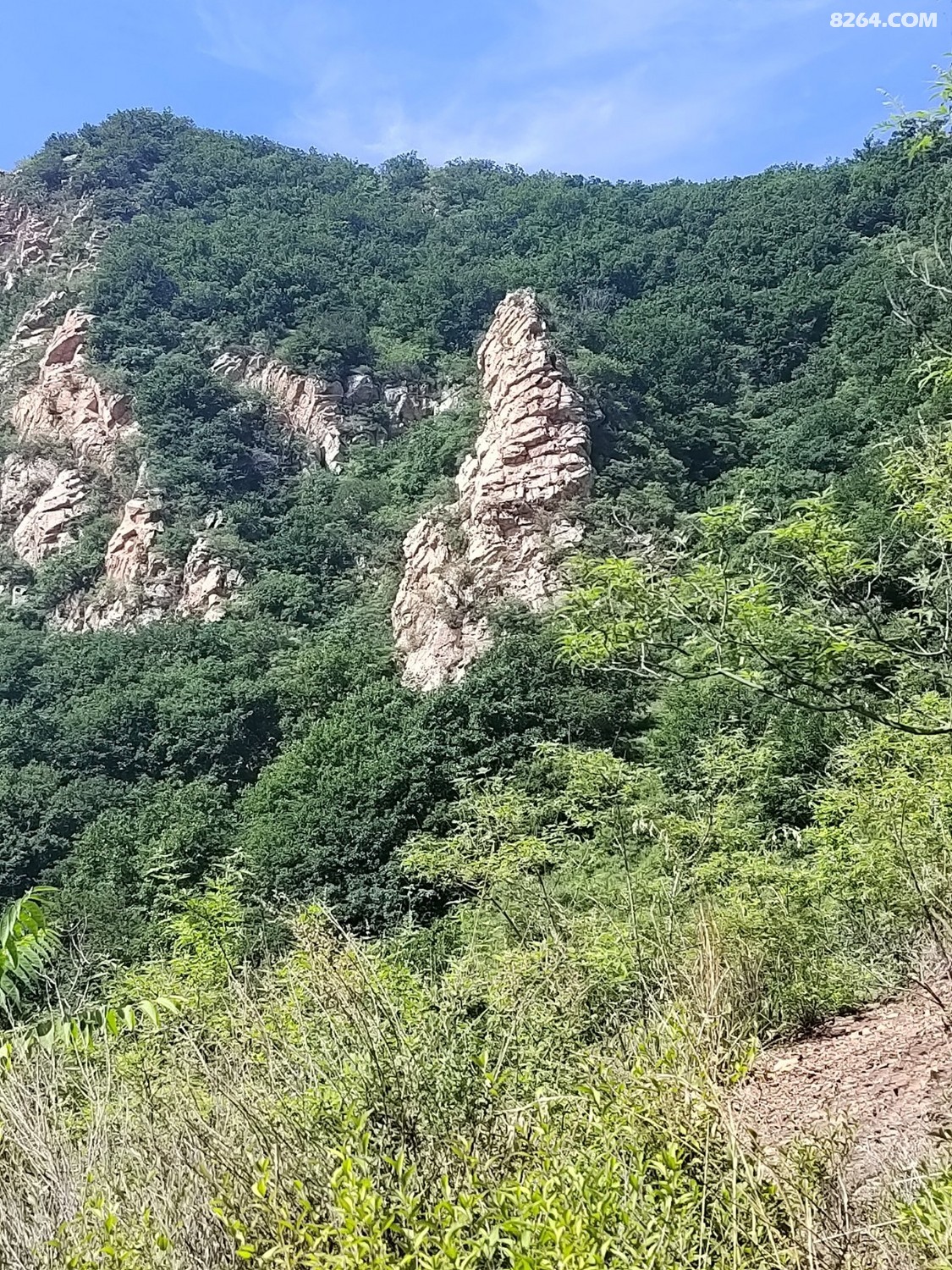IMG_20240609_090333.jpg