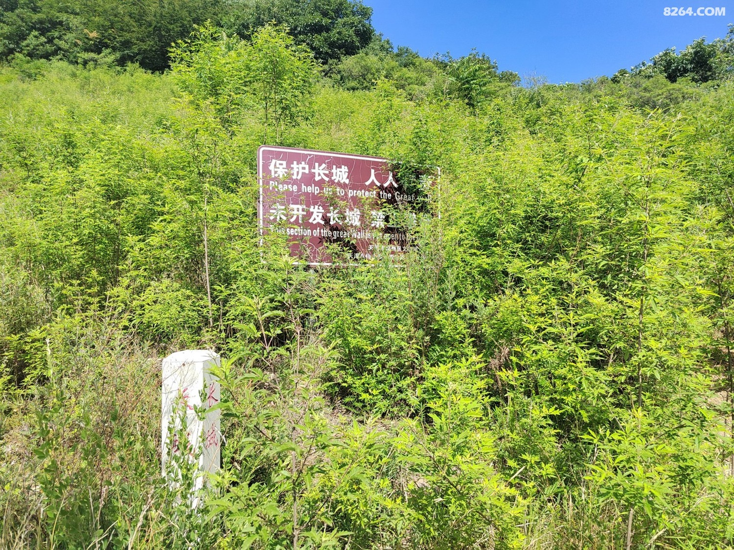 IMG_20240609_091057.jpg