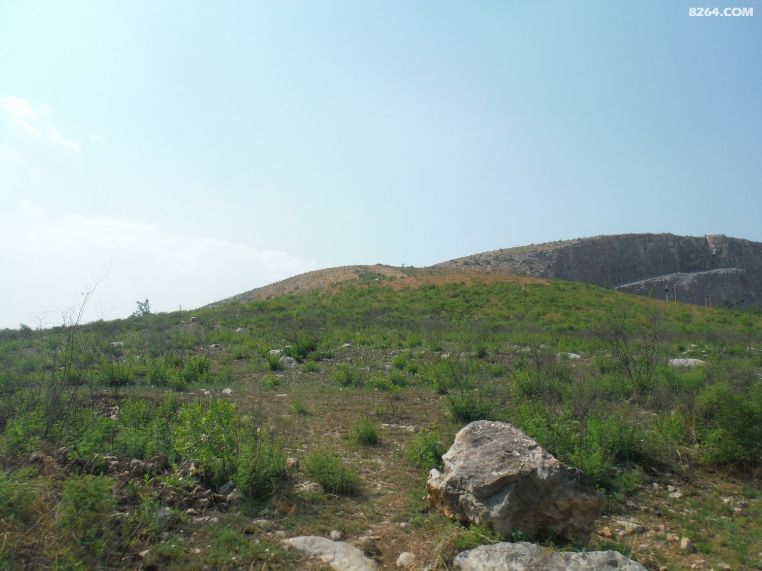 DSCF4151.JPG