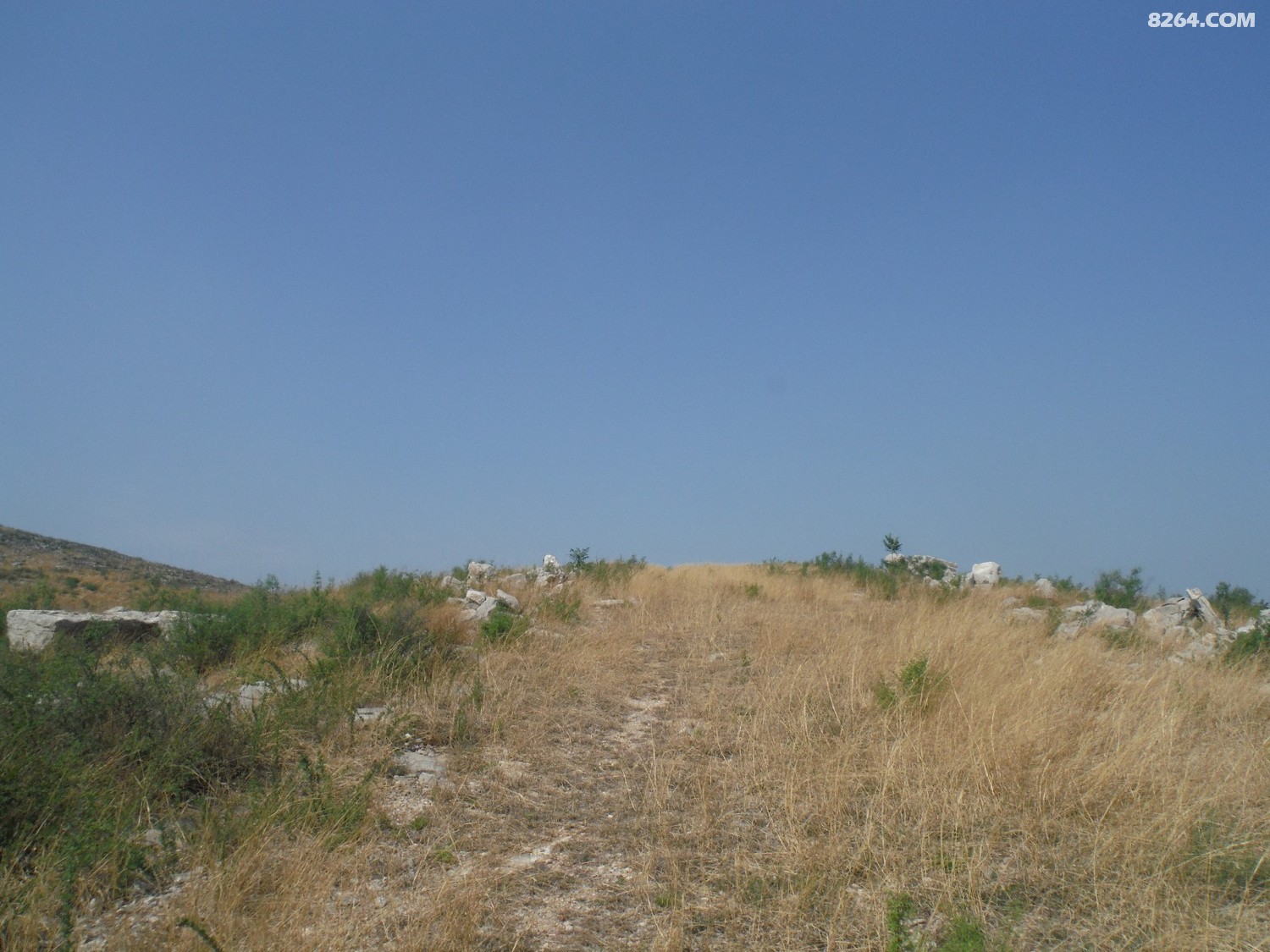 DSCF4152.JPG