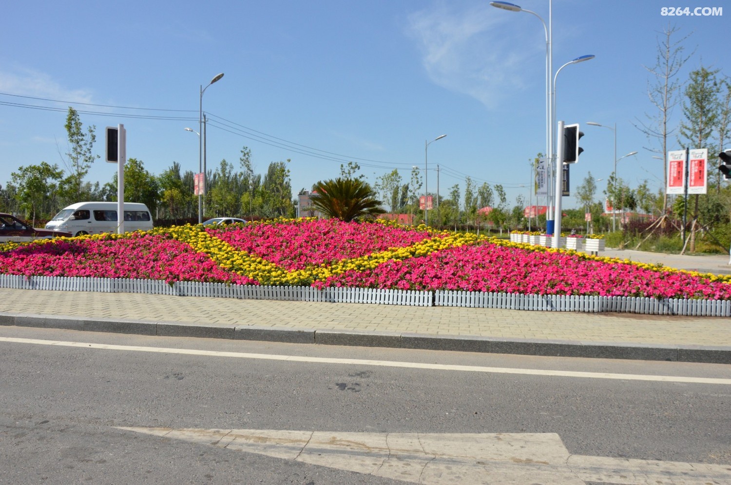 DSC_6120.JPG