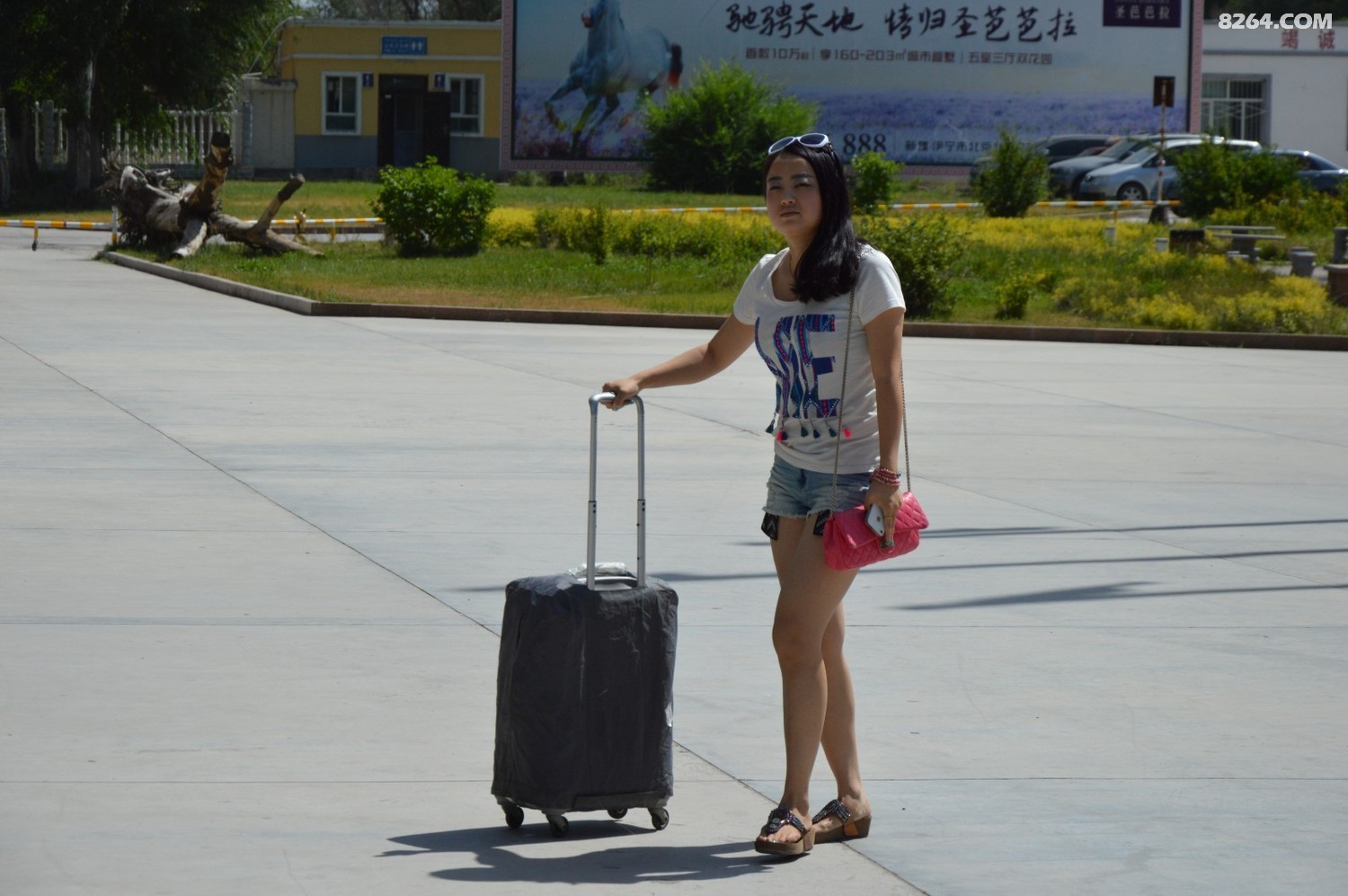 DSC_6147.JPG