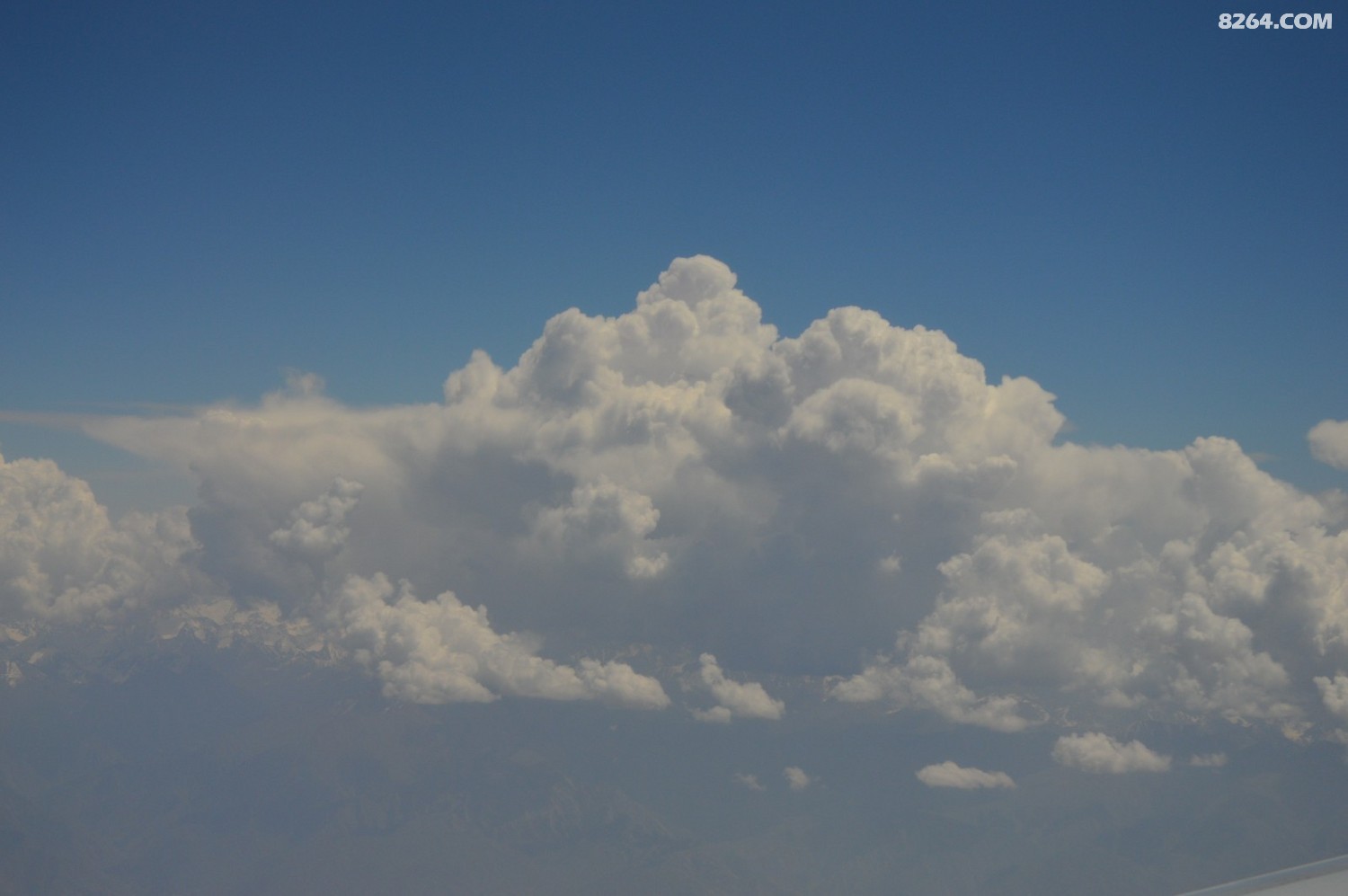 DSC_6164.JPG