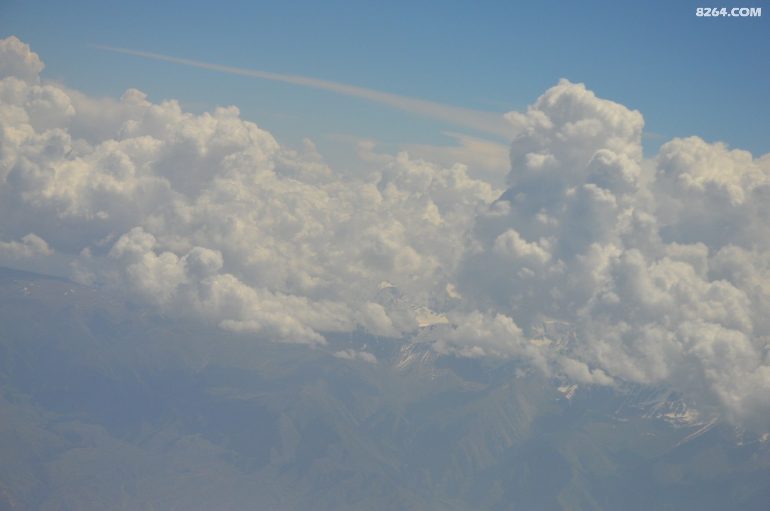 DSC_6169.JPG