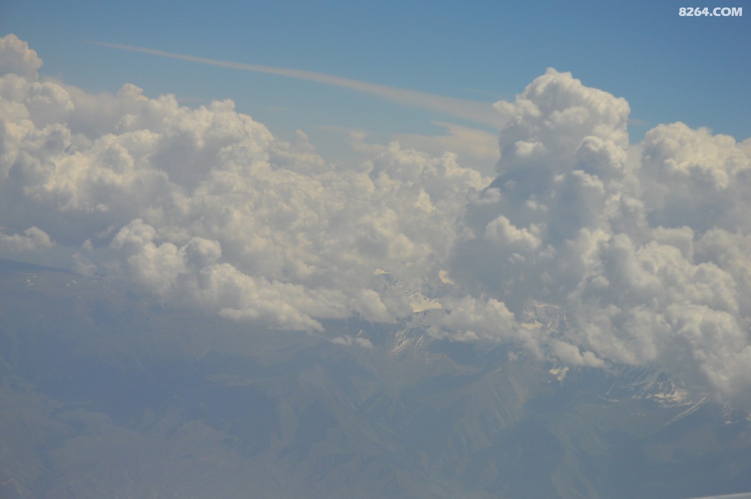 DSC_6170.JPG