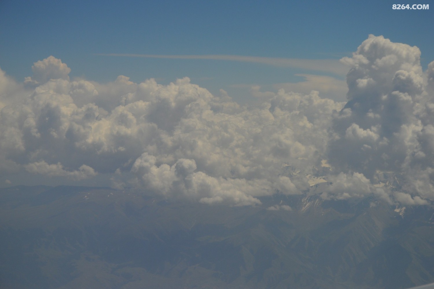 DSC_6172.JPG