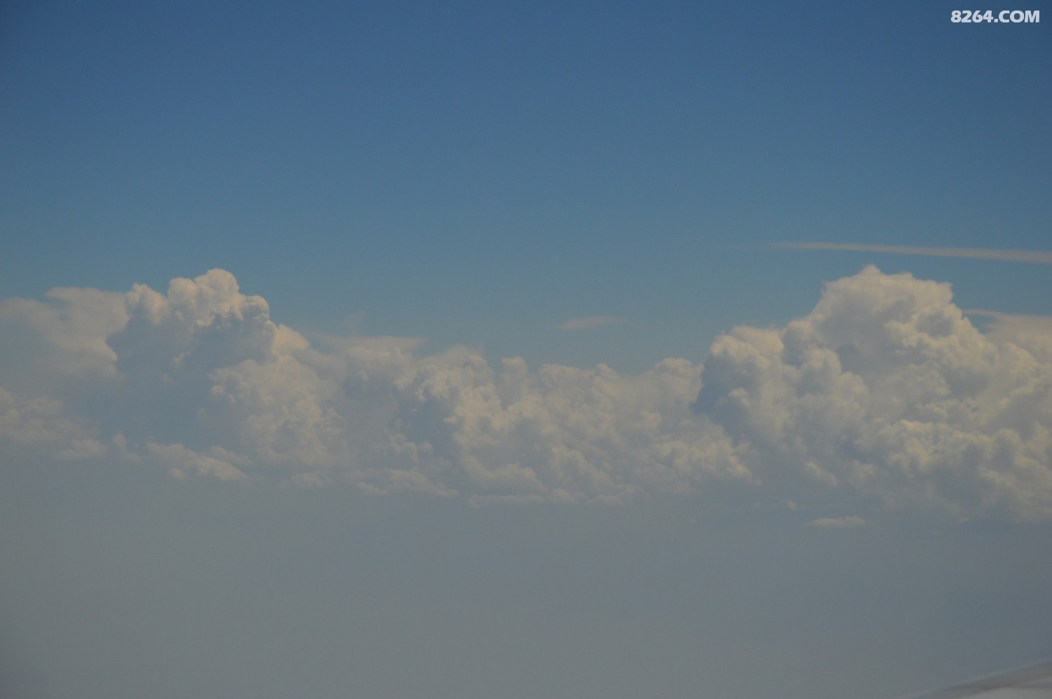 DSC_6201.JPG