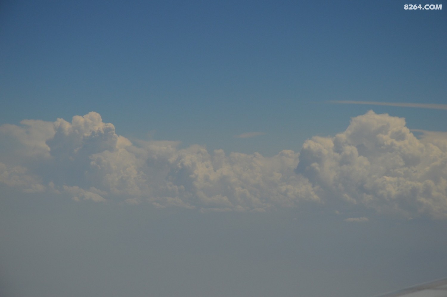DSC_6202.JPG