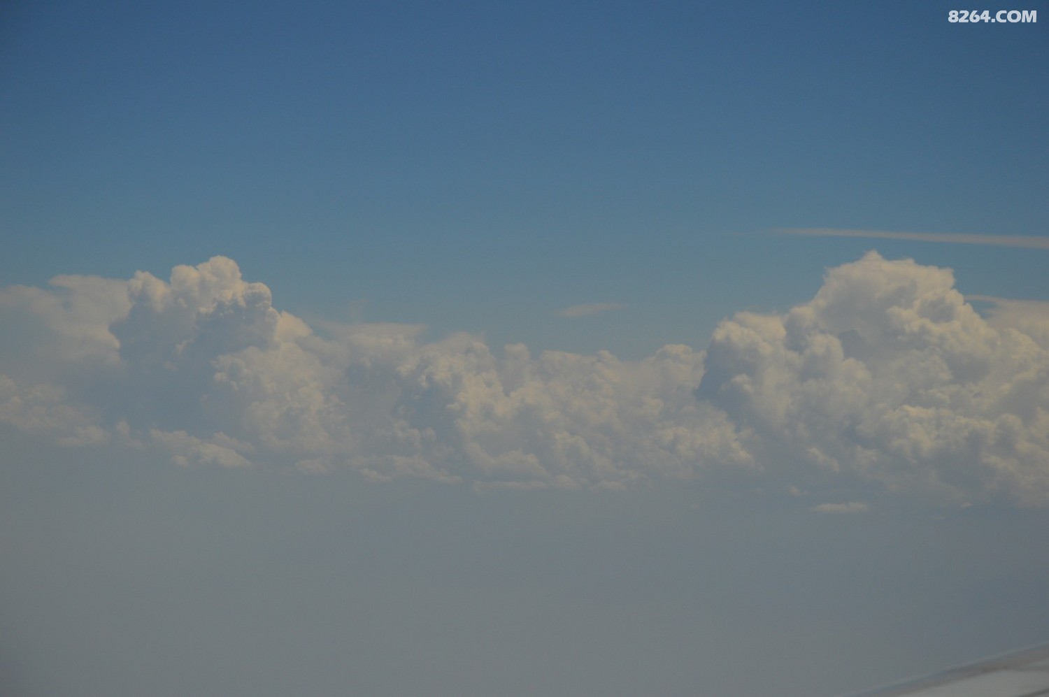 DSC_6203.JPG