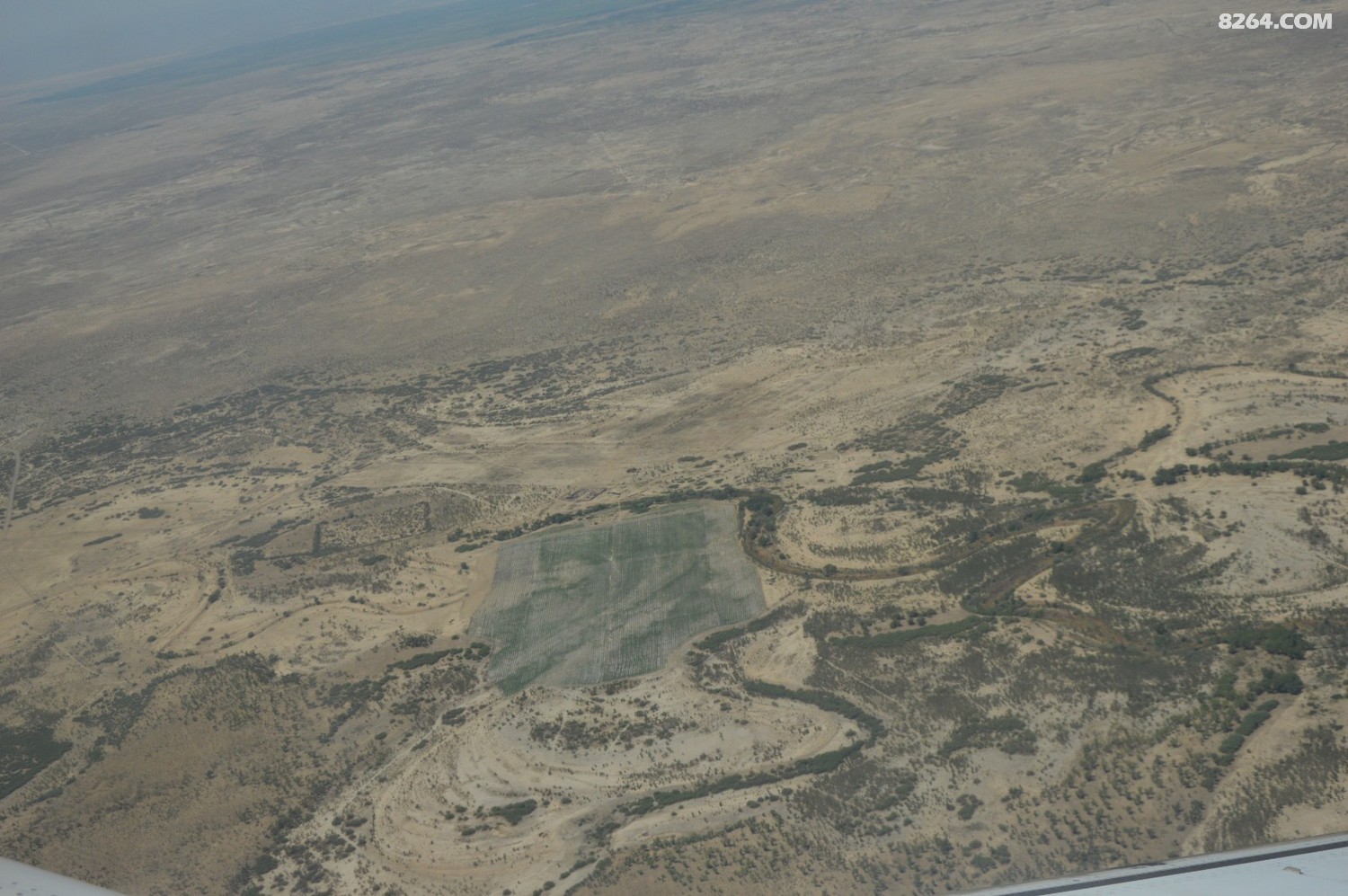 DSC_6215.JPG
