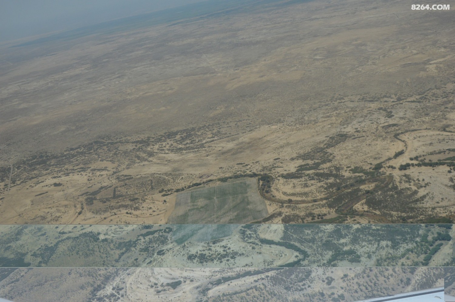 DSC_6216.JPG