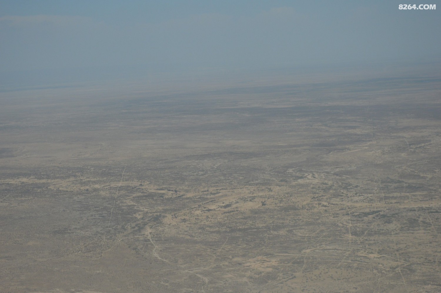 DSC_6220.JPG