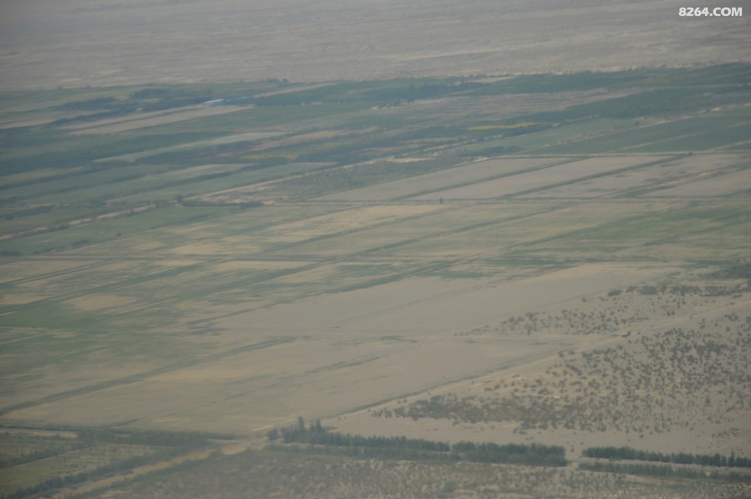 DSC_6229.JPG