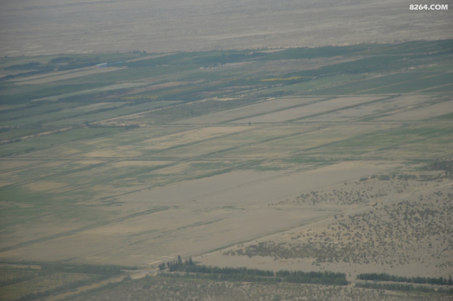 DSC_6231.JPG