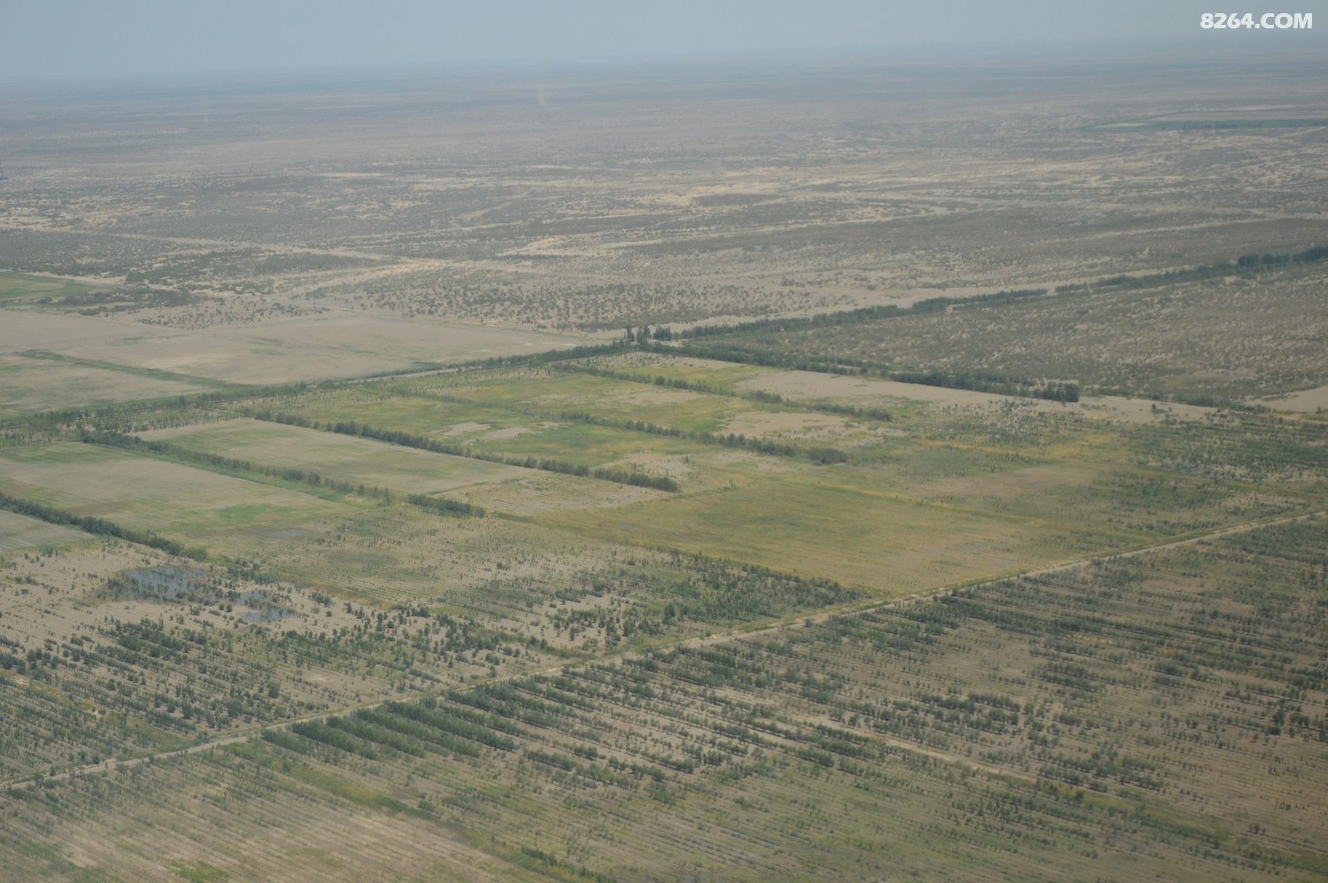 DSC_6232.JPG
