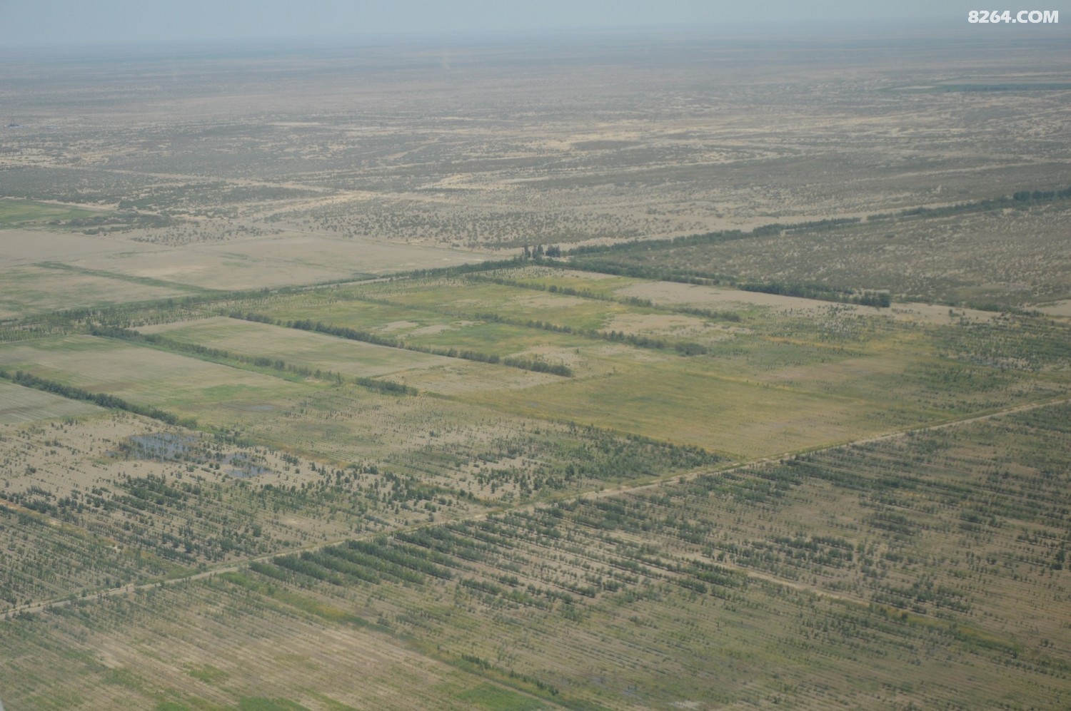 DSC_6233.JPG