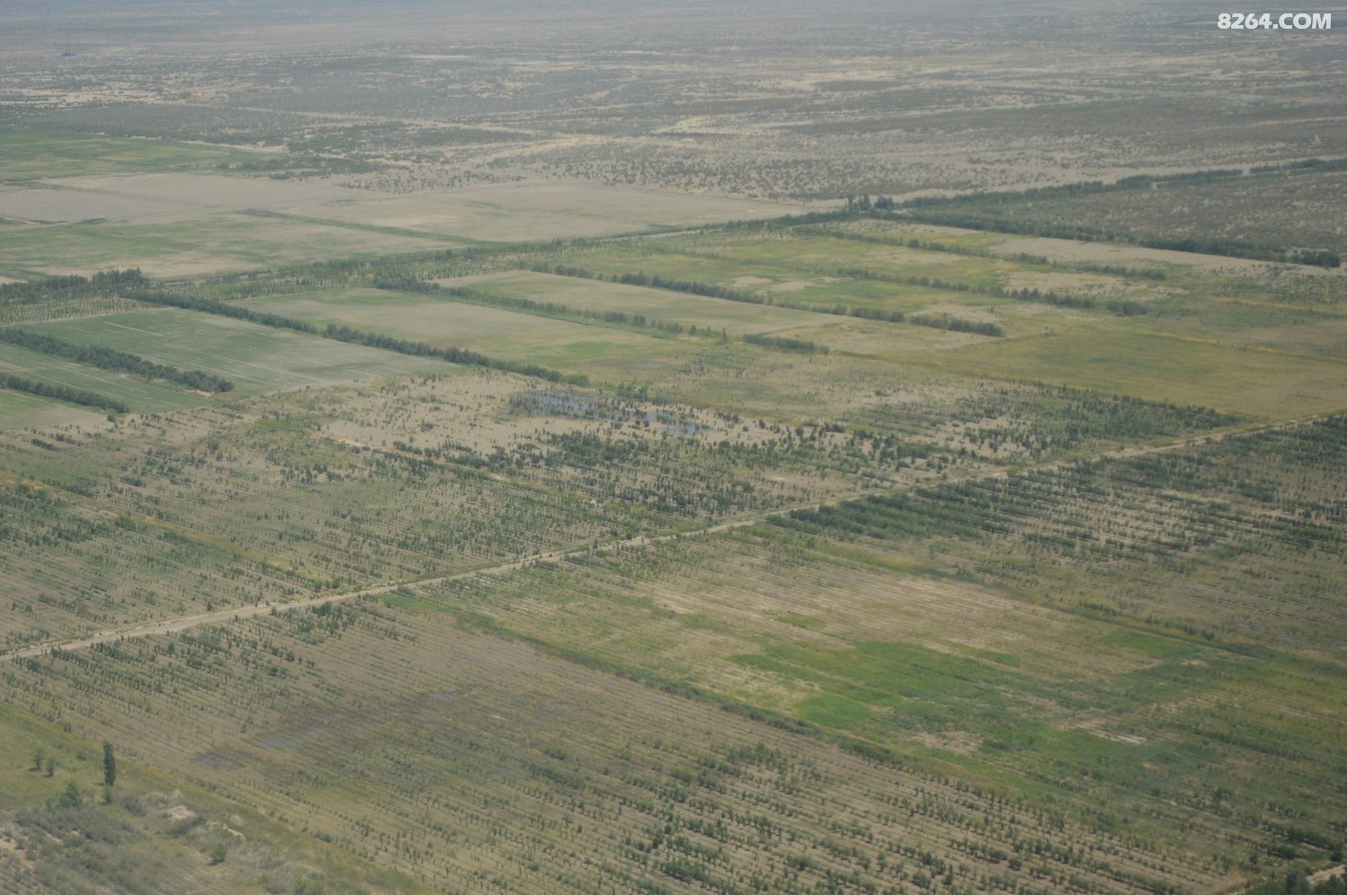 DSC_6234.JPG
