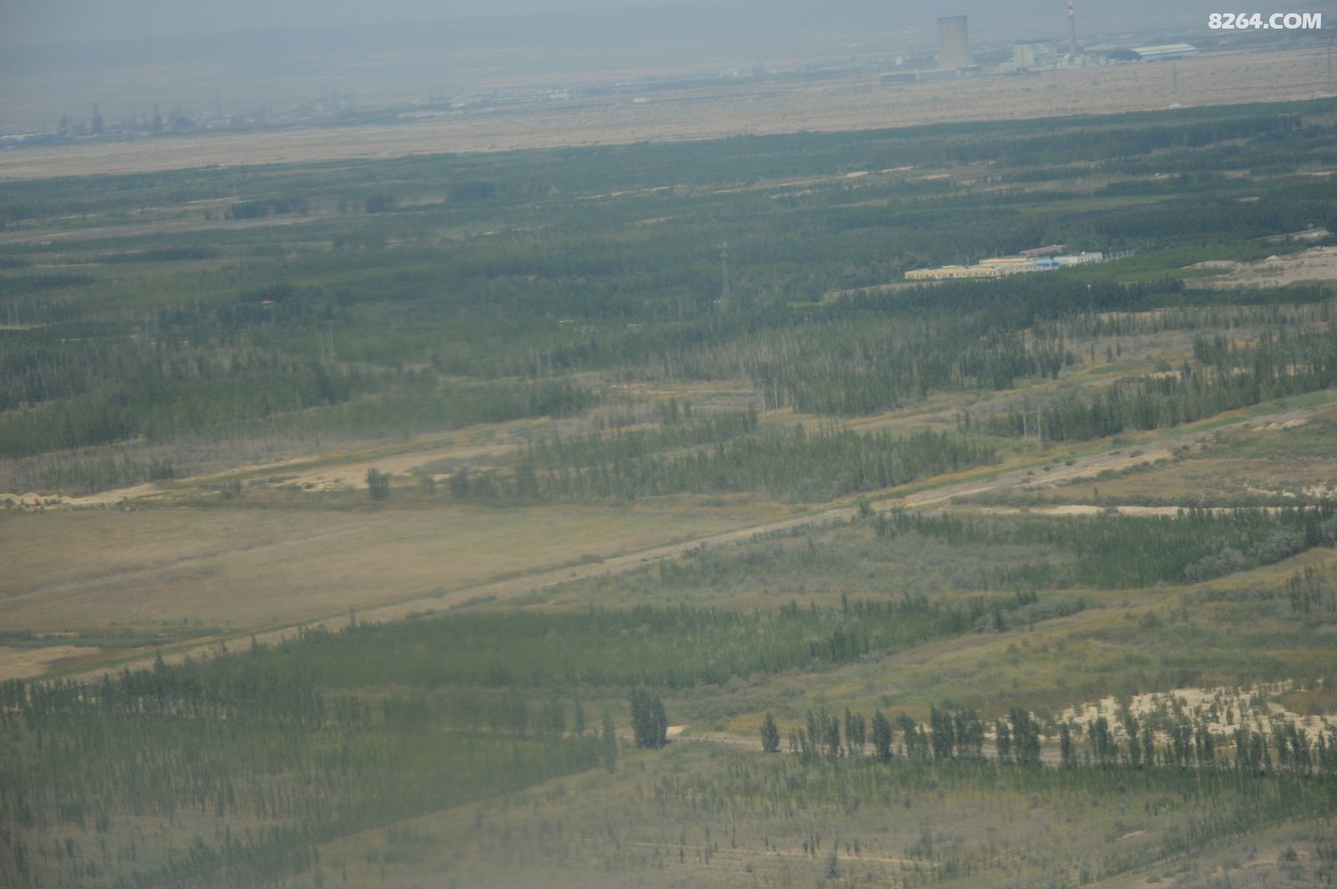 DSC_6237.JPG