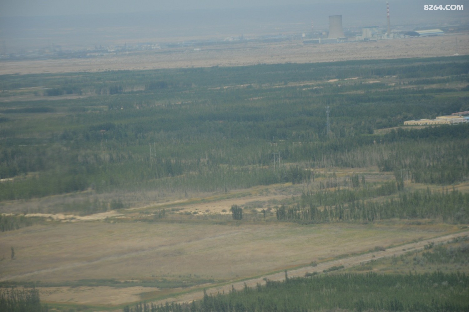 DSC_6238.JPG