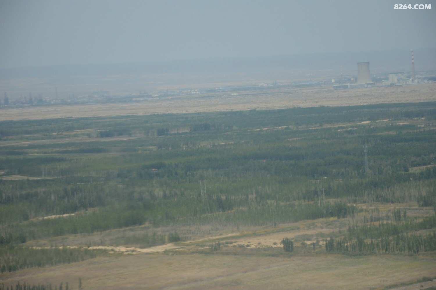 DSC_6239.JPG