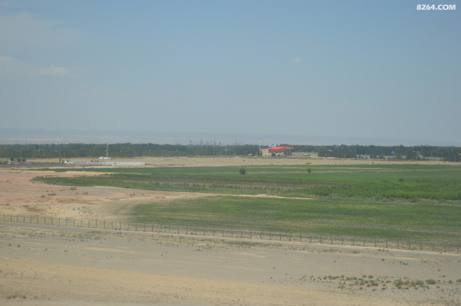 DSC_6249.JPG