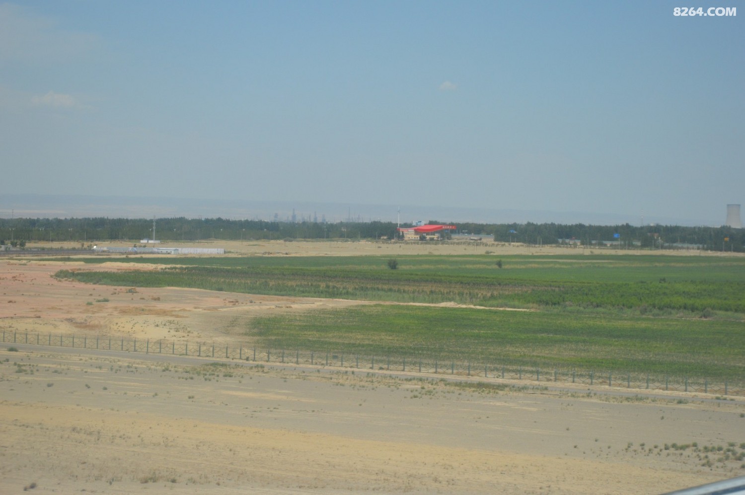 DSC_6250.JPG