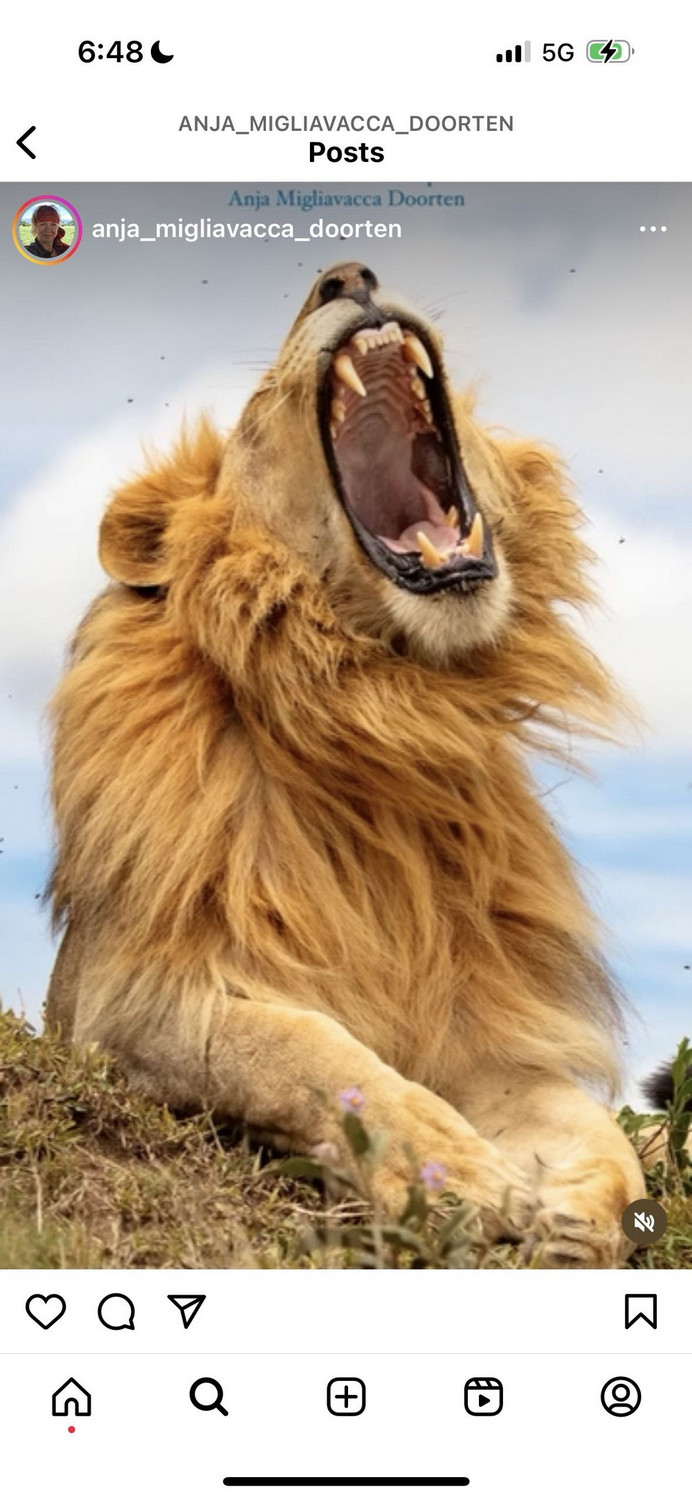 ӰƷ