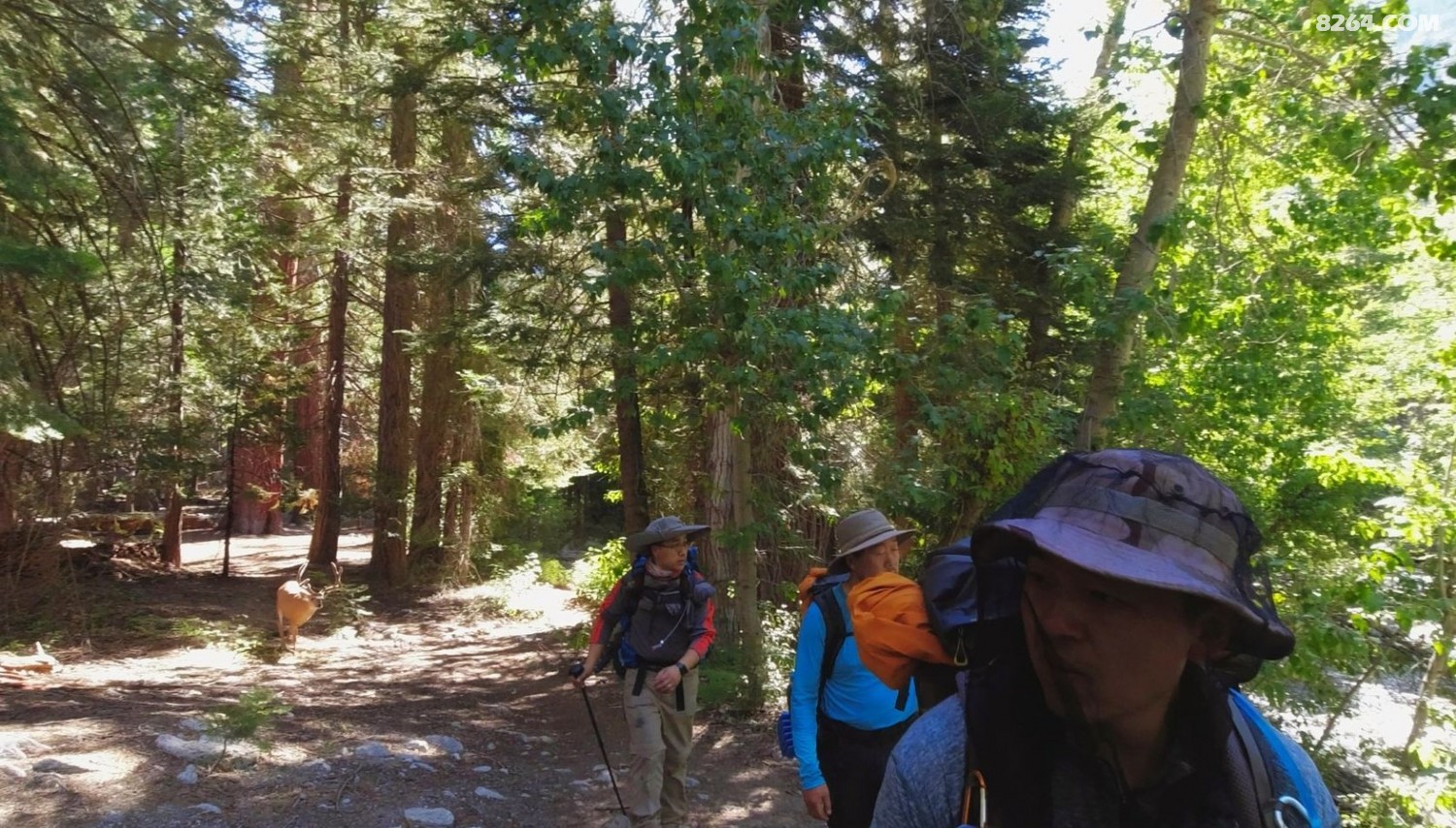 Screenshot 2024-10-04 205504.jpg