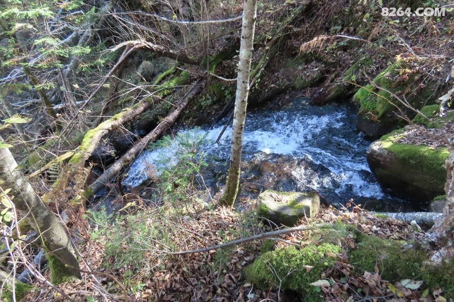 IMG_1946.jpg