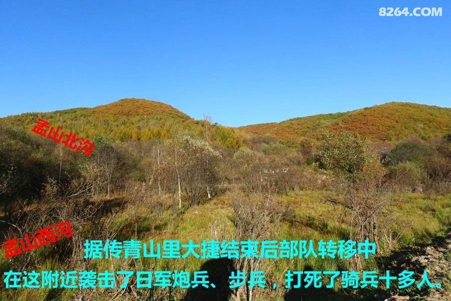 IMG_2475.jpg