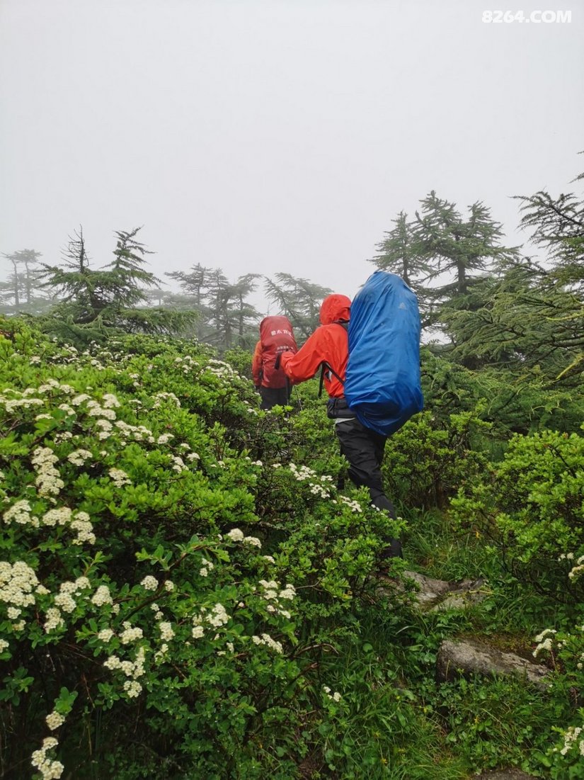 061337bgkwi9xxlo11ot77 - 徒步登山 穿越攀岩 雪山步道 户外路线 在野 去没有天花板的地方