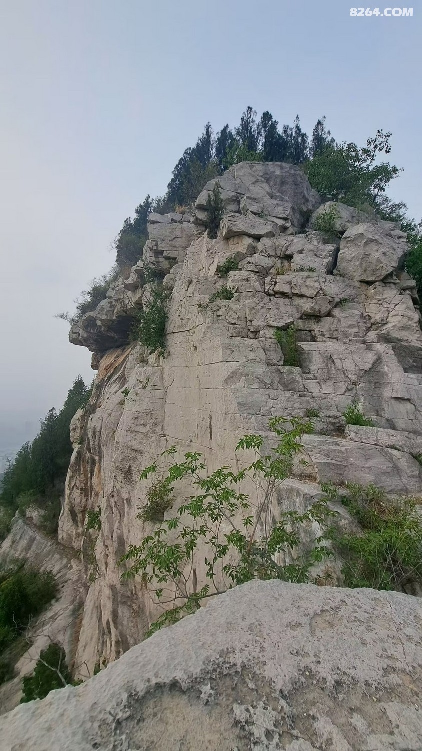 psc111.jpg